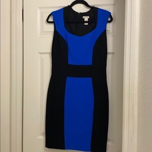 Cache black and blue dress